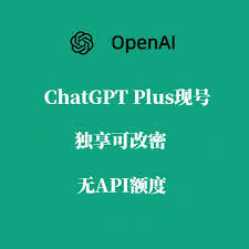 ChatGPT Plus会员如何购买？详细教程带你轻松开通(chatgpt会员购买)缩略图