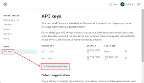 chatbot api key申请注册OpenAI账号