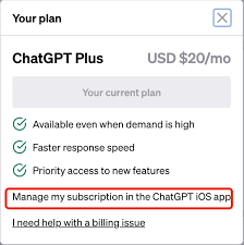 ChatGPT Plus在中国如何订阅(chatgpt plus国内怎么订阅)缩略图
