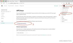 注册ChatGPT账号并申请API Key的方法教程及步骤(注册chatgpt账号并申请api key的方法教程)缩略图