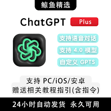 购买ChatGPT 4.0 Plus账号的详细步骤和注意事项(chatgpt4.0plus账号)缩略图