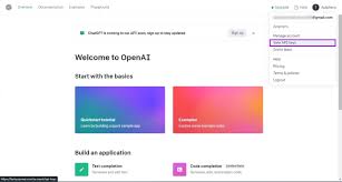 OpenAI API介绍与用途(openai api)缩略图