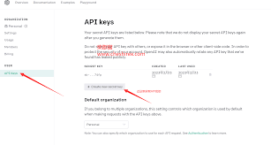 openai api key需要付费吗使用OpenAI API Key