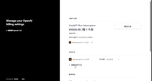 ChatGPT 支付方式设置步骤