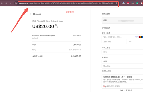 ChatGPT 付款失败常见错误