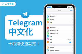 Telegram邮箱验证界面