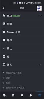 Steam设置界面