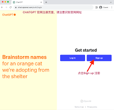 ChatGPT 中文版使用