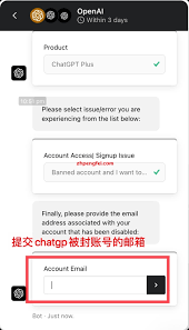 一、ChatGPT 帐号删除的基本步骤