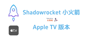 Shadowrocket应用示例