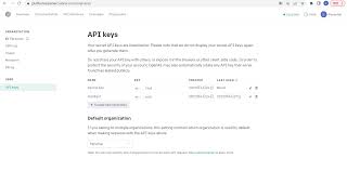 申请OpenAI API Key流程