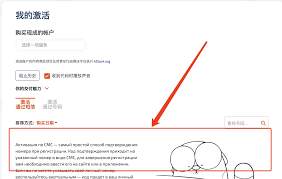 OpenAI注册流程图