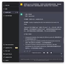 ChatGPT 中文版简介