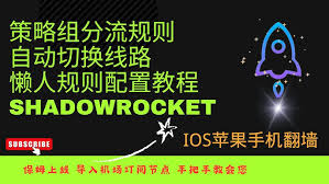 App Store 搜索下载 Shadowrocket